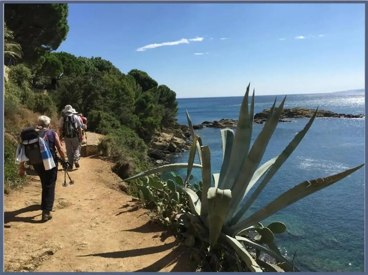公寓 Centre De Roses 500 M De La Plage Appartement 6 Personnes Rav